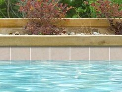 National Pool Tile Sim. Quartzite 6x6 Series | Beige | SQZ-BEIGE 8 National Pool Tile Sim. Quartzite 6x6 Series | Beige | SQZ-BEIGE -Hayward Shop 134572 0 2018311211642