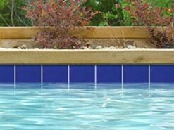National Pool Tile 6x6 Solids Series | Glossy Cobalt Blue | M6764PG | M6764C -Hayward Shop 135554 0 2018731182818
