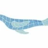 AquaStar Swim Designs Sea Lion Stencil Only | White | F1009-01 -Hayward Shop 149585 0 20171117101449