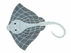 AquaStar Swim Designs Stingray Stencil Only | White | F1013-01