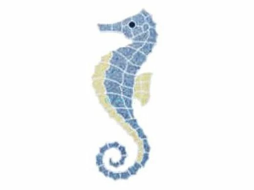 AquaStar Swim Designs Seahorse Medium Stencil Only | White | F1017-01 3 AquaStar Swim Designs Seahorse Medium Stencil Only | White | F1017-01