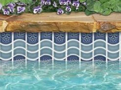 Hayward Shop -Hayward Shop 153217 0 201545182317