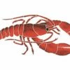 Artistry In Mosaics Lobster Mosaic | 7" X 16" | LOBREDM -Hayward Shop 156636 0 2016222125742