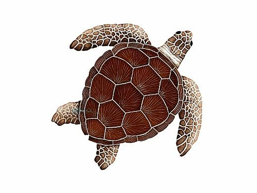 Artistry In Mosaics Loggerhead Turtle Brown Mosaic | Medium - 15" X 15" | TLOBROM 3 Artistry In Mosaics Loggerhead Turtle Brown Mosaic | Medium - 15" X 15" | TLOBROM