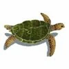 Artistry In Mosaics Sea Turtle Natural With Shadow Mosaic | Small - 9" X 13" | SESNATRS 1 Artistry In Mosaics Sea Turtle Natural With Shadow Mosaic | Small - 9" X 13" | SESNATRS -Hayward Shop 156760 0 20163714454