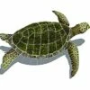 Artistry In Mosaics Sea Turtle Green With Shadow Mosaic | Medium - 16" X 23" | SESGRERM -Hayward Shop 156767 0 201638111052