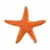 Artistry In Mosaics Starfish Mosaic | Orange - 5" | STAORAB 2 Artistry In Mosaics Starfish Mosaic | Orange - 5" | STAORAB -Hayward Shop 156846 0 2016310115220