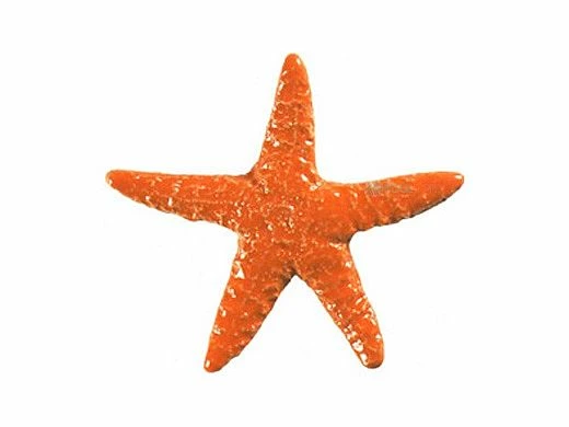 Artistry In Mosaics Starfish Mosaic | Orange - 5" | STAORAB 3 Artistry In Mosaics Starfish Mosaic | Orange - 5" | STAORAB
