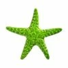 Artistry In Mosaics Starfish Mosaic | Lime - 5" | STALIMB