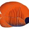 Artistry In Mosaics Tiger Tang Fish Mosaic | Orange - 5" X 8" | TTAORAS -Hayward Shop 156874 0 2016311145143