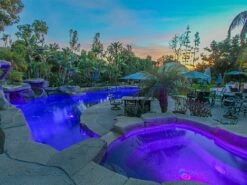 J&J Electronics ColorSplash XG-W Series RGB + White LED Spa Light | 120V 30' Cord | LPL-S2CW-120-30-P 23010 -Hayward Shop 169203 0 20185310354