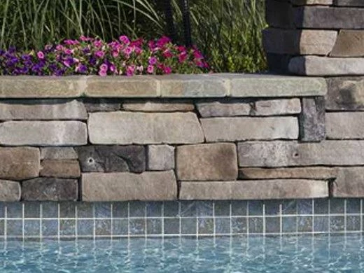 National Pool Tile Safari 6x6 Series | Multicolor | SFR-MULTI 5 National Pool Tile Safari 6x6 Series | Multicolor | SFR-MULTI - Image 3