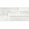 National Pool Tile Carrara 6 1/4x15 3/4 Porcelain Tile | Bianco White | CRA-BIANCO -Hayward Shop 178196 0 202011217368