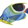 Porcelain Mosaic Reef Fish | Saddle Butterfly | PORC-SF6-9 -Hayward Shop 21699 0 201661123654