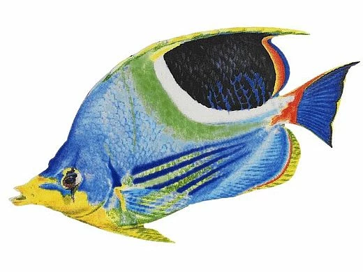 Porcelain Mosaic Reef Fish | Saddle Butterfly | PORC-SF6-9 3 Porcelain Mosaic Reef Fish | Saddle Butterfly | PORC-SF6-9