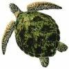 Porcelain Mosaic Sea Turtle Green | 24" X 24" | PORC-GT3-24 2 Porcelain Mosaic Sea Turtle Green | 24" X 24" | PORC-GT3-24 -Hayward Shop 21716 0 2016619211155