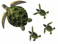 Porcelain Mosaic Sea Turtle Green | 24" X 24" | PORC-GT3-24 -Hayward Shop 21716 1 2016619211155