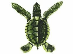 Porcelain Mosaic Turtle Green | Baby 5"x5" | PORC-ST20A