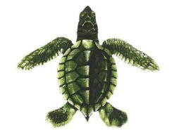 Porcelain Mosaic Turtle Green | Baby C 5"x5" | PORC-ST22C