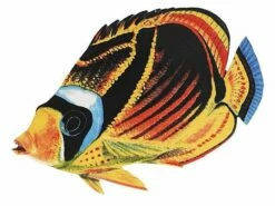 Porcelain Mosaic Reef Fish | Raccoon Butterfly | PORC-BF23-9