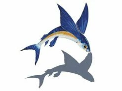 Porcelain Mosaic Flying Fish-A With Shadow | 7" X 8" | PORC-FF13/SH