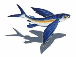 Porcelain Mosaic Flying Fish-B With Shadow | 8" X 6" | PORC-FF14/SH