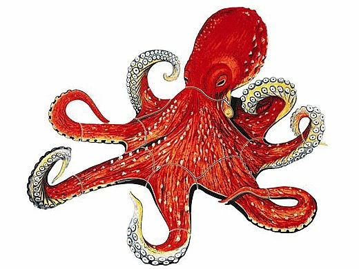 Porcelain Mosaic | Octopus | PORC-OP16-24 3 Porcelain Mosaic | Octopus | PORC-OP16-24