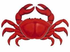 Porcelain Mosaic | Red Crab | PORC-RC11-12