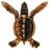 Porcelain Mosaic Turtle Brown | Baby A 5"x5" | PORC-ST20A-BR 1 Porcelain Mosaic Turtle Brown | Baby A 5"x5" | PORC-ST20A-BR -Hayward Shop 21796 0 2018113114655