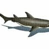 Artistry In Mosaics Shark With Shadow Mosaic | 24" X 61" | SSHGRARL -Hayward Shop 4954 0 201639145438