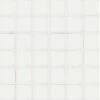 National Pool Tile Unglazed 1x1 Series | White / Biscuit | 0A1311GMS1P 1 National Pool Tile Unglazed 1x1 Series | White / Biscuit | 0A1311GMS1P -Hayward Shop 9780 0 2018830164334