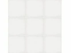 National Pool Tile Unglazed 2x2 Series #A13 | White / Biscuit | 0A1322GMS1P