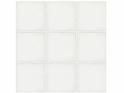 National Pool Tile Unglazed 2x2 Series #A13 | White / Biscuit | 0A1322GMS1P 6 National Pool Tile Unglazed 2x2 Series #A13 | White / Biscuit | 0A1322GMS1P -Hayward Shop 9781 2 2013527164320