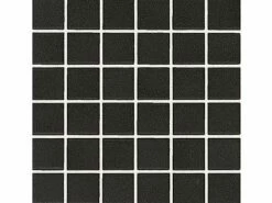 National Pool Tile Unglazed 1x1 Series | Raven Black | 0A3411GMS1P